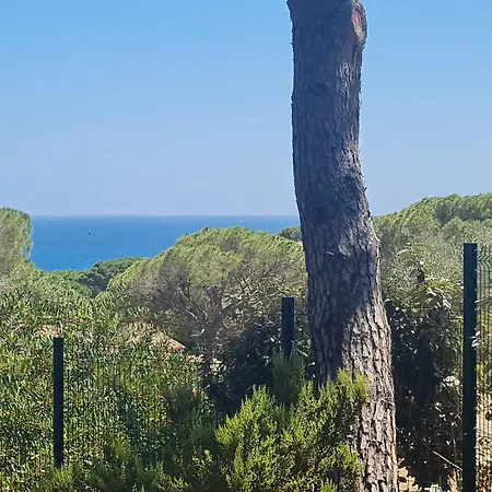 Spacieuse Avec Piscine Privée à - Fr-1-780-12 Villa Sainte-Maxime