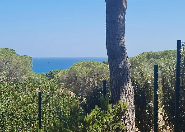 Spacieuse Avec Piscine Privee A - Fr-1-780-12 Villa Sainte-Maxime